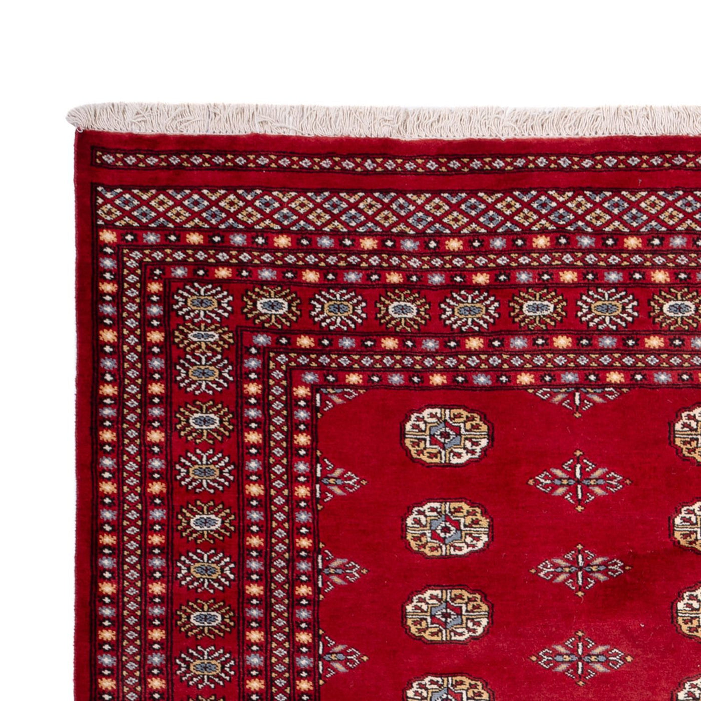 Bukhara Dywan 308x207cm - Dywan orientalny