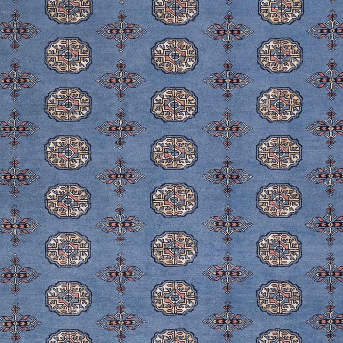 Afgański dywan - Bukhara - 297 x 250 cm - niebieski