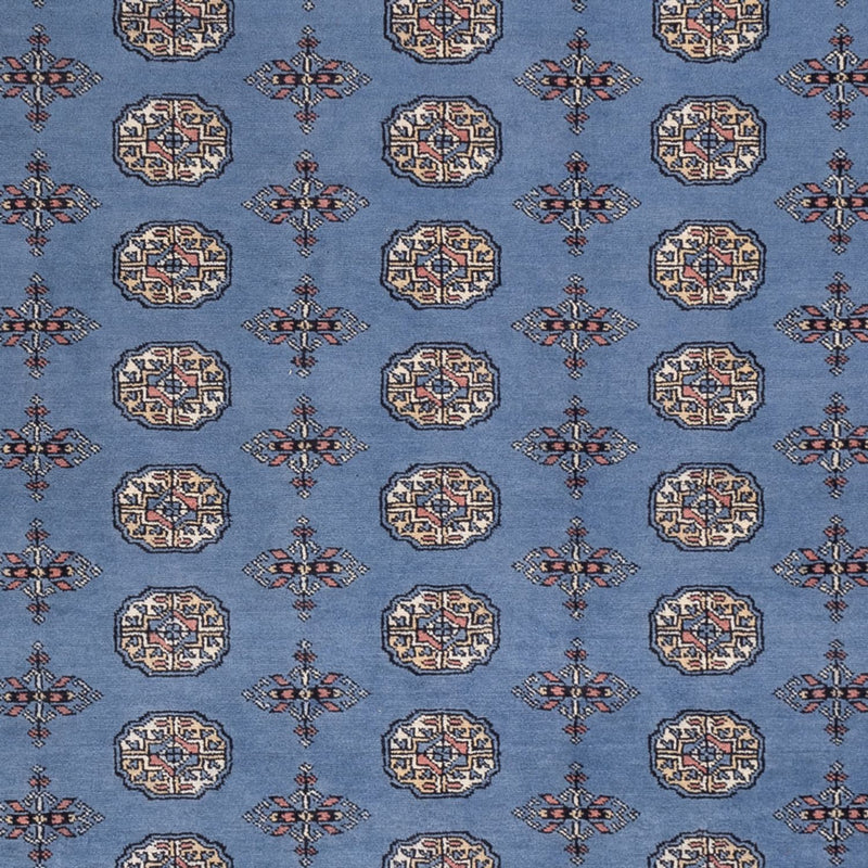 Afgański dywan - Bukhara - 297 x 250 cm - niebieski