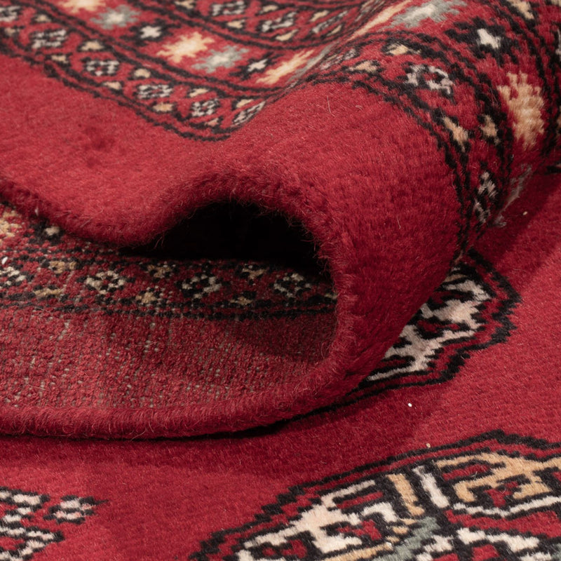 Afgański dywan - Bukhara - 309 x 246 cm - czerwony