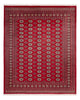 Bukhara Dywan 305x244cm - Dywan orientalny