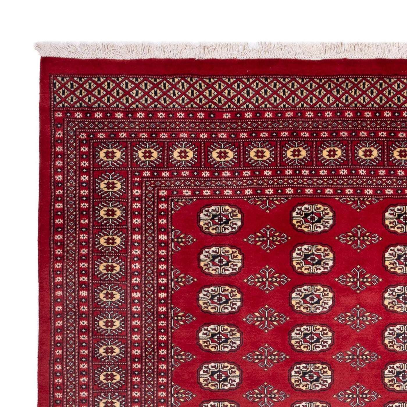 Bukhara Dywan 305x244cm - Dywan orientalny