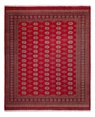Bukhara Dywan 252x305cm - Dywan orientalny