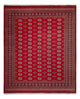 Bukhara Dywan 305x252cm - Dywan orientalny