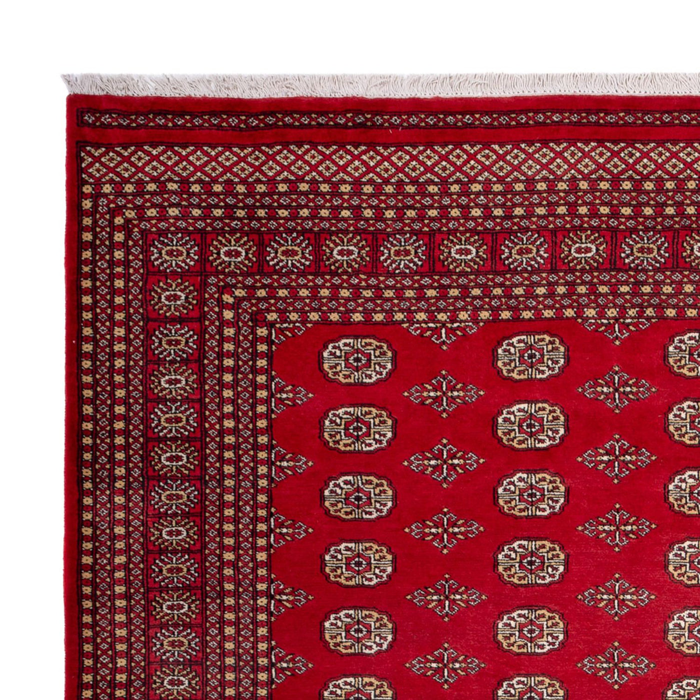 Bukhara Dywan 305x252cm - Dywan orientalny