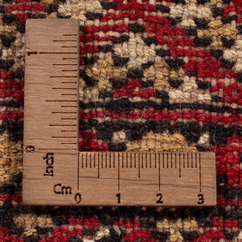 Afgański dywan - Bukhara - 305 x 252 cm - czerwony