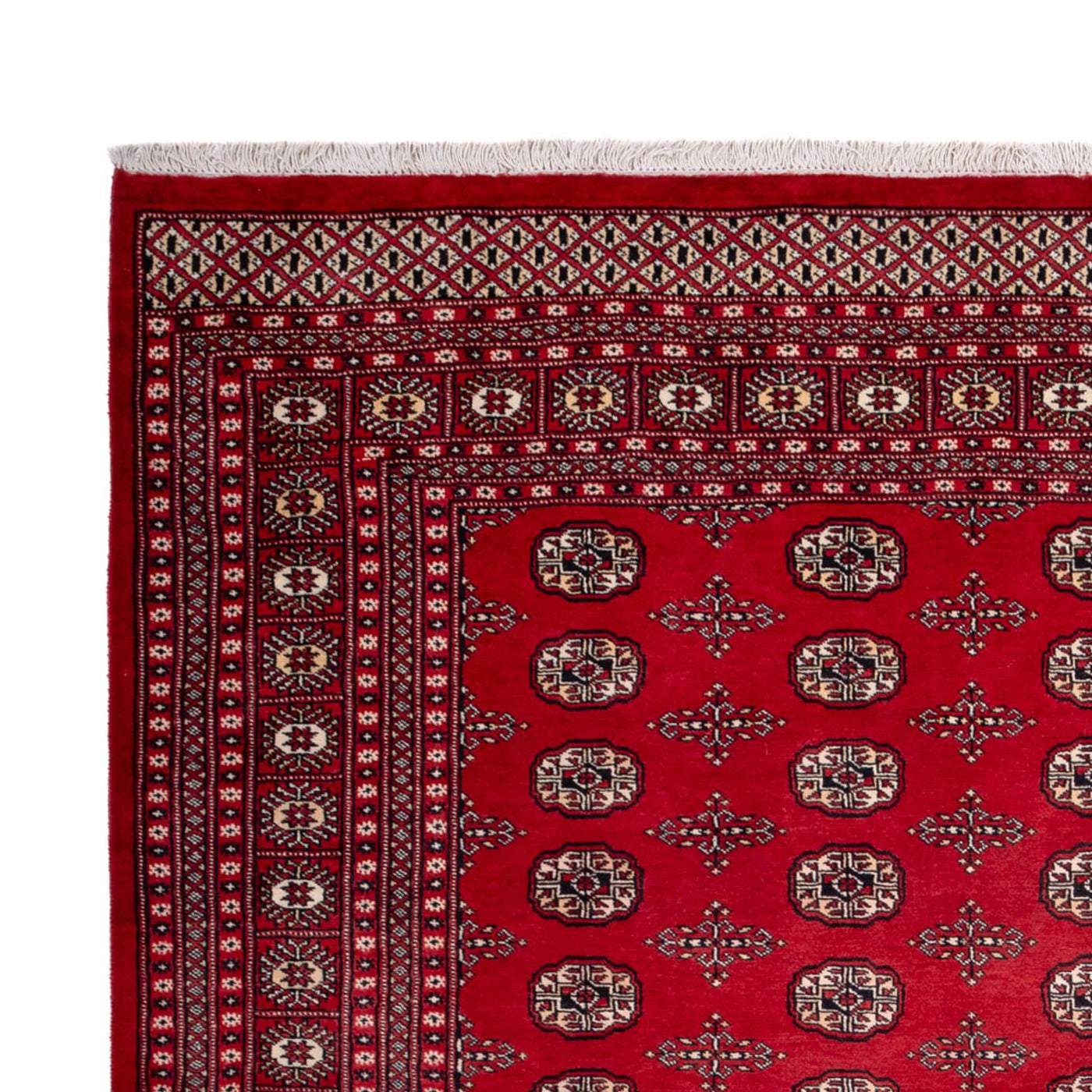 Bukhara Dywan 319x250cm - Dywan orientalny