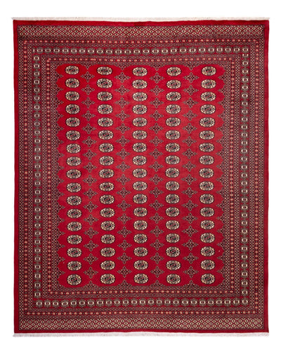 Bukhara Dywan 248x309cm - Dywan orientalny