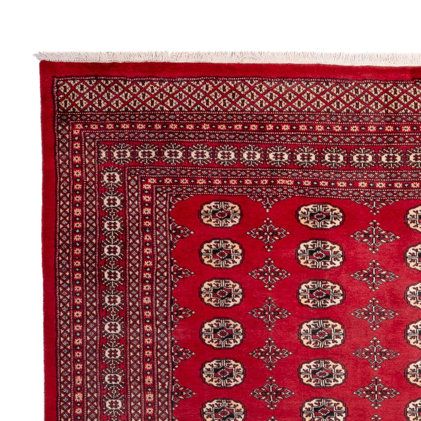 Bukhara Dywan 309x248cm - Dywan orientalny