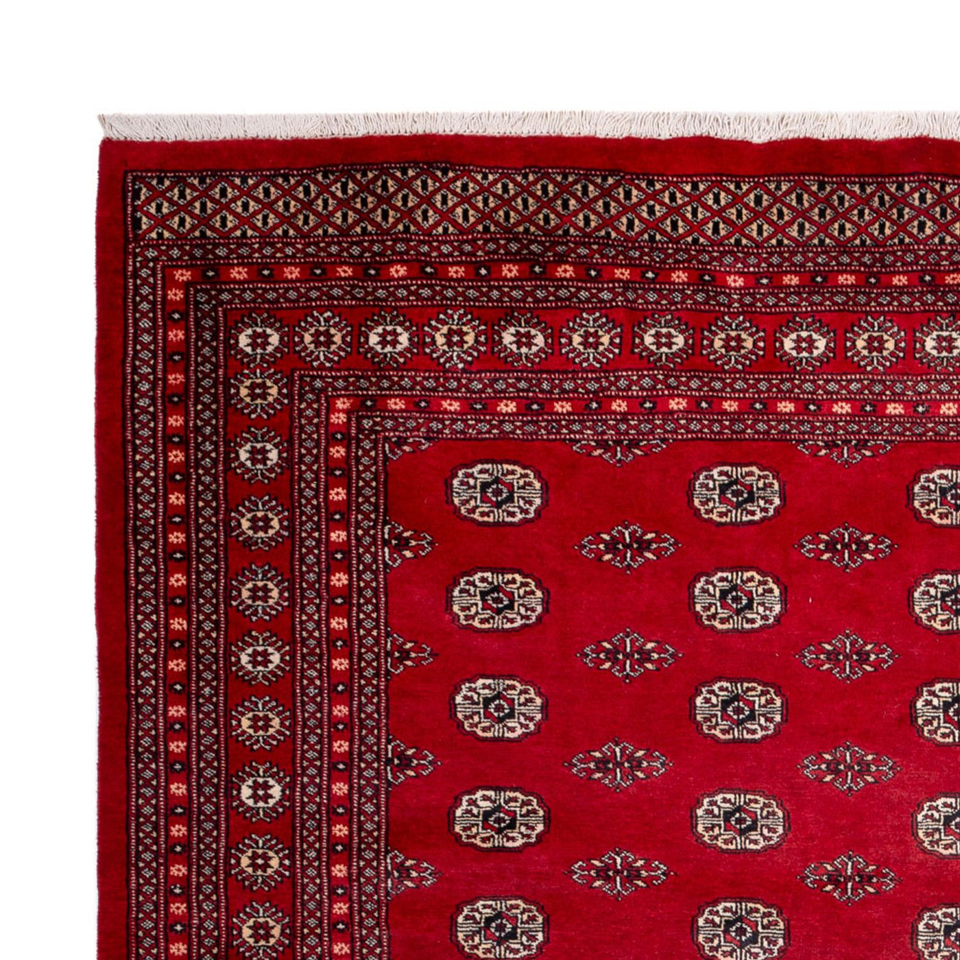 Bukhara Dywan 323x248cm - Dywan orientalny