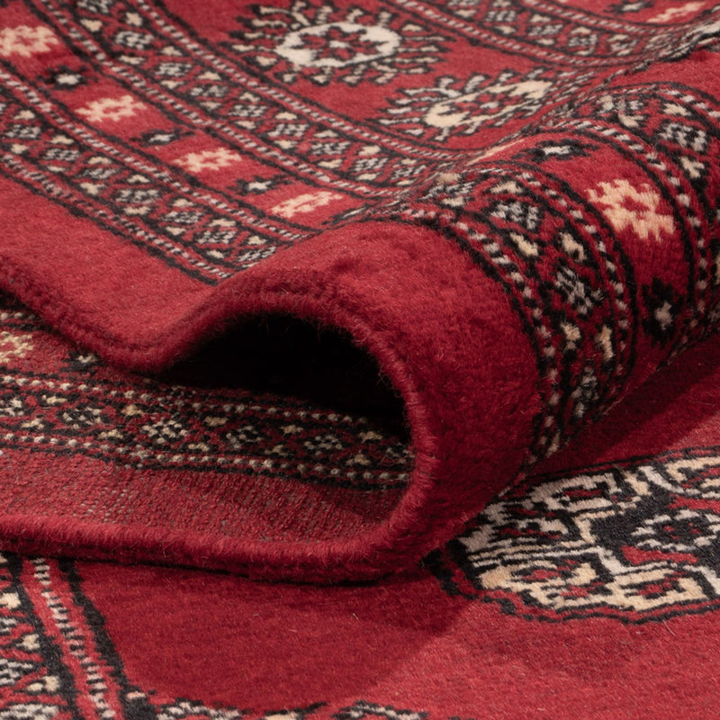 Afgański dywan - Bukhara - 323 x 248 cm - czerwony