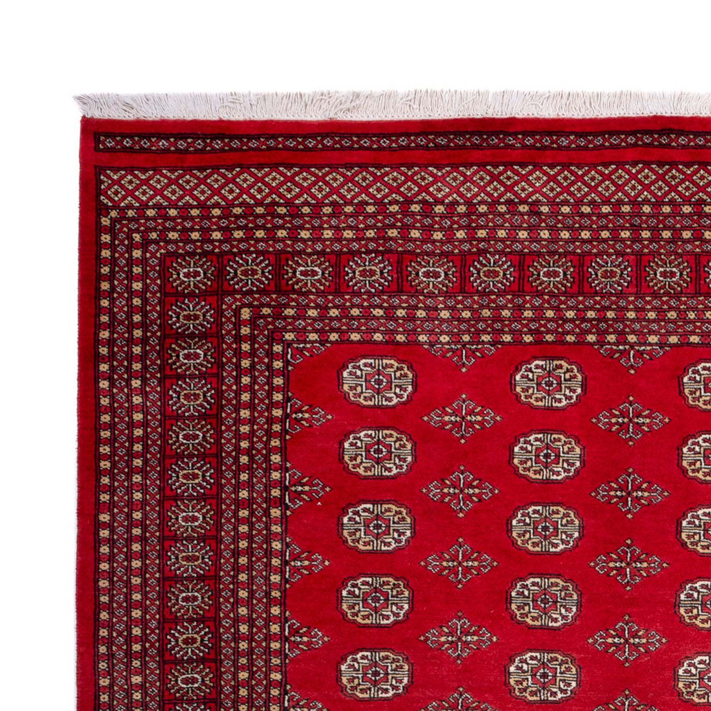 Bukhara Dywan 321x247cm - Dywan orientalny