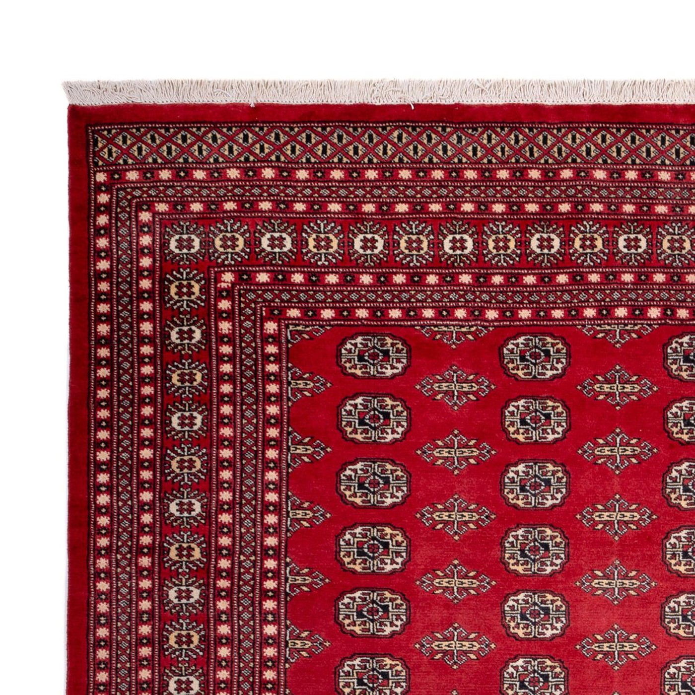 Bukhara Dywan 315x248cm - Dywan orientalny