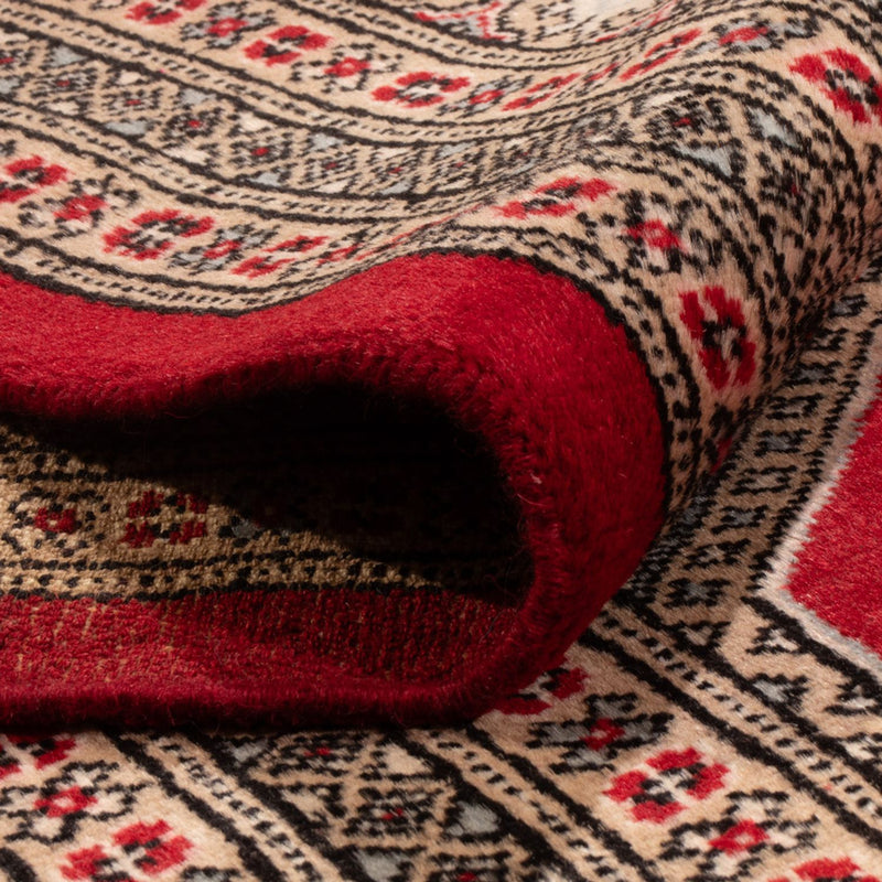 Afgański dywan - Bukhara - 287 x 220 cm - czerwony