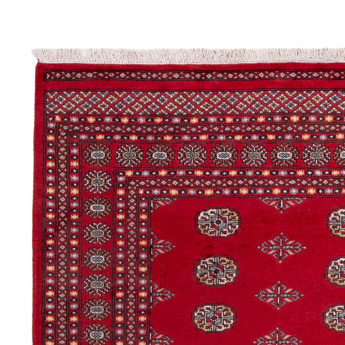 Bukhara Dywan 303x205cm - Dywan orientalny