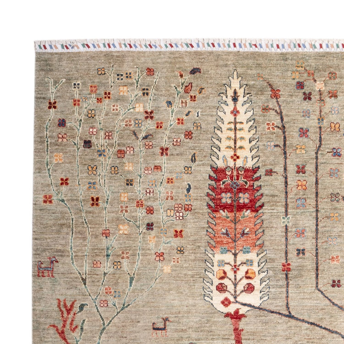 Dywan Ziegler - Ariana - 301 x 205 cm - piaskowy