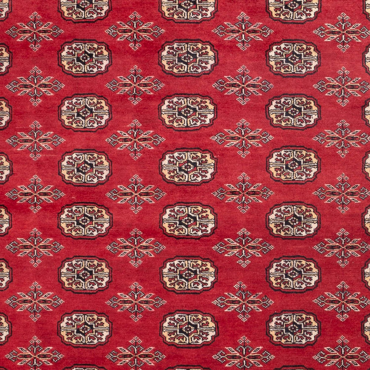 Afgański dywan - Bukhara - 297 x 220 cm - czerwony