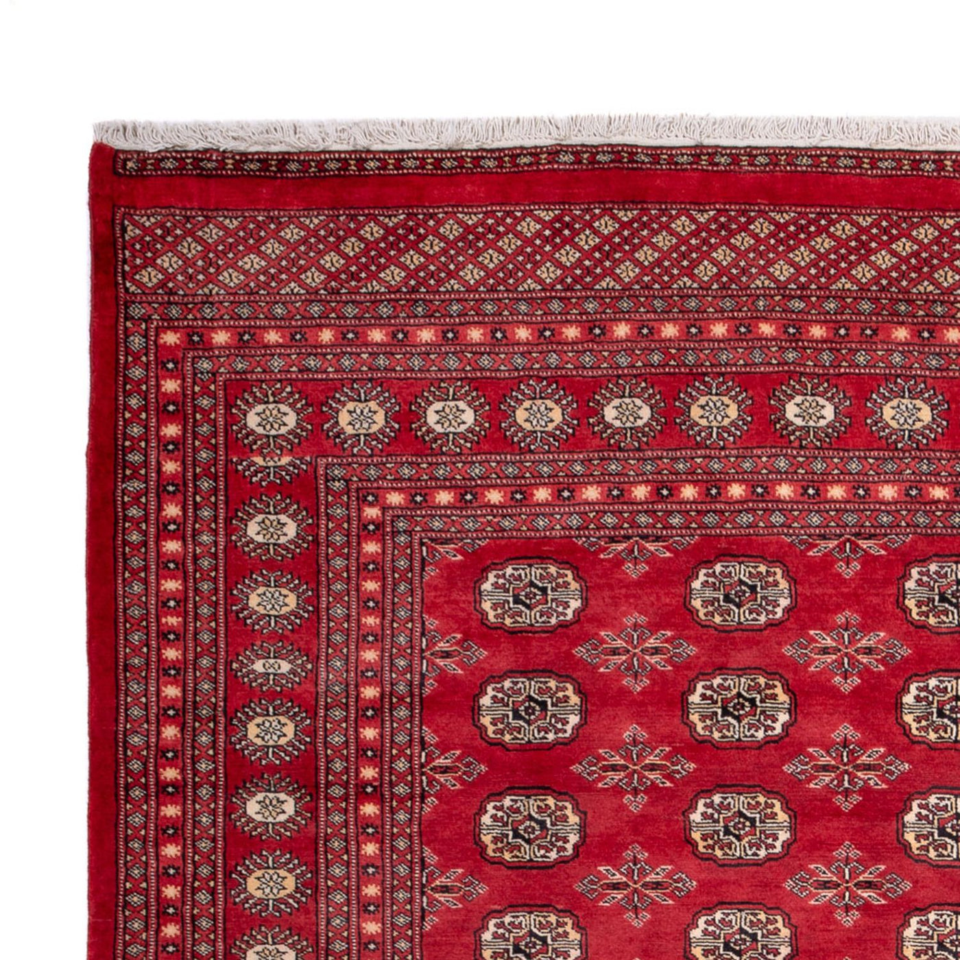 Buchara Dywan 297x220cm - Dywan orientalny