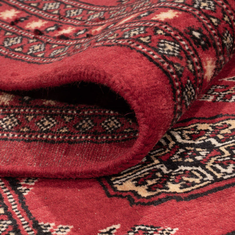 Afgański dywan - Bukhara - 297 x 220 cm - czerwony