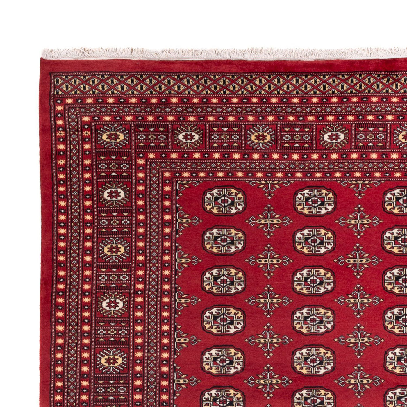 Bukhara Dywan 312x245cm - Dywan orientalny