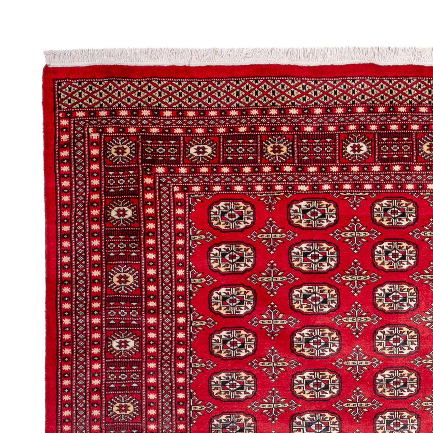 Bukhara Dywan 311x243cm - Dywan orientalny
