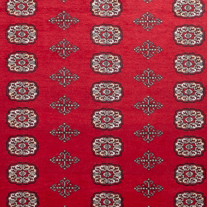 Afgański dywan - Bukhara - 306 x 197 cm - czerwony