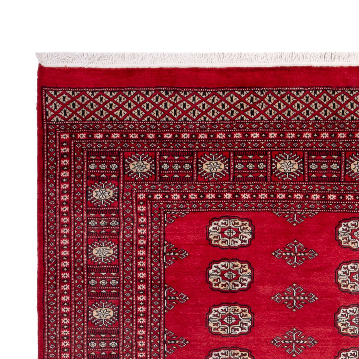 Bukhara Dywan 306x197cm - Dywan orientalny