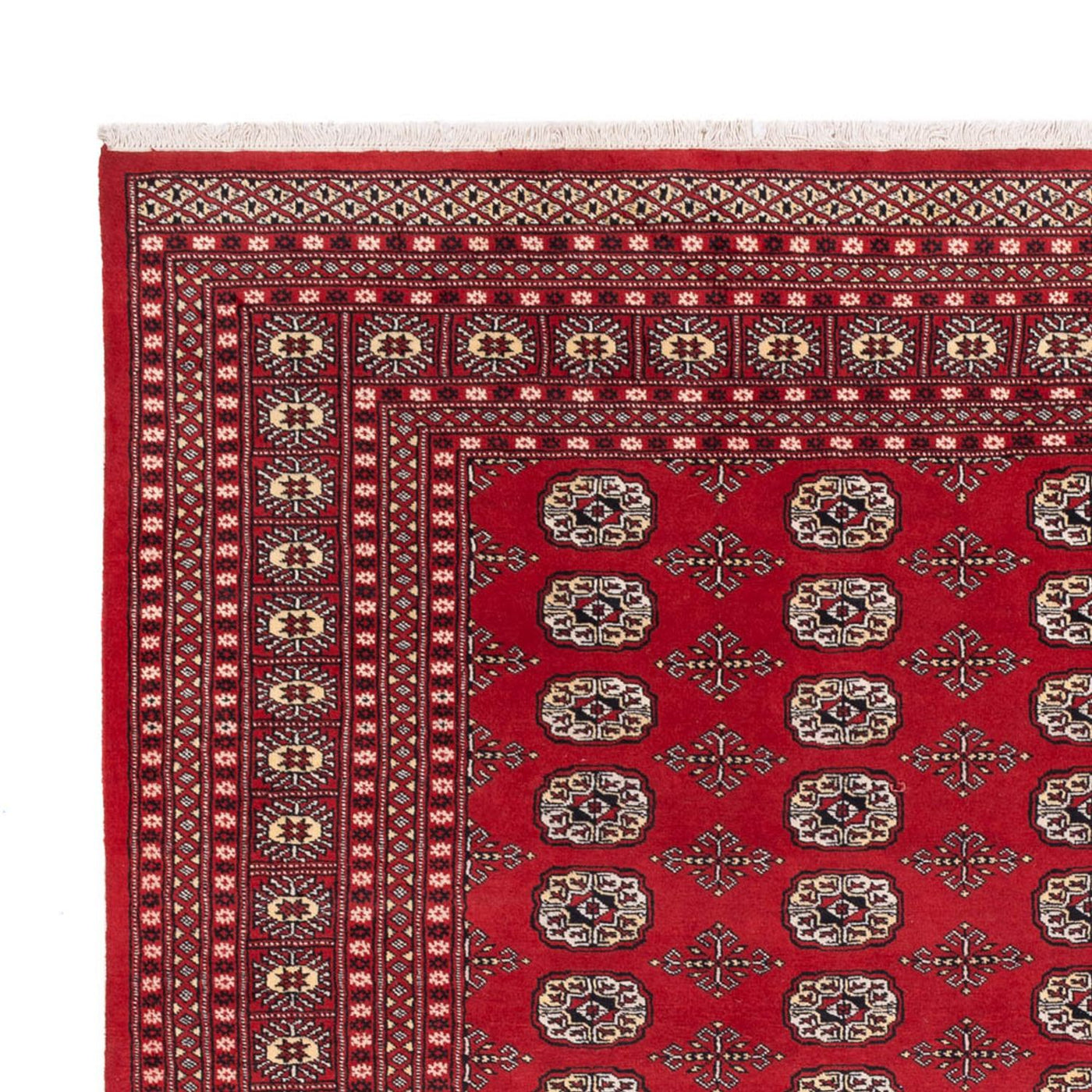 Bukhara Dywan 298x243cm - Dywan orientalny
