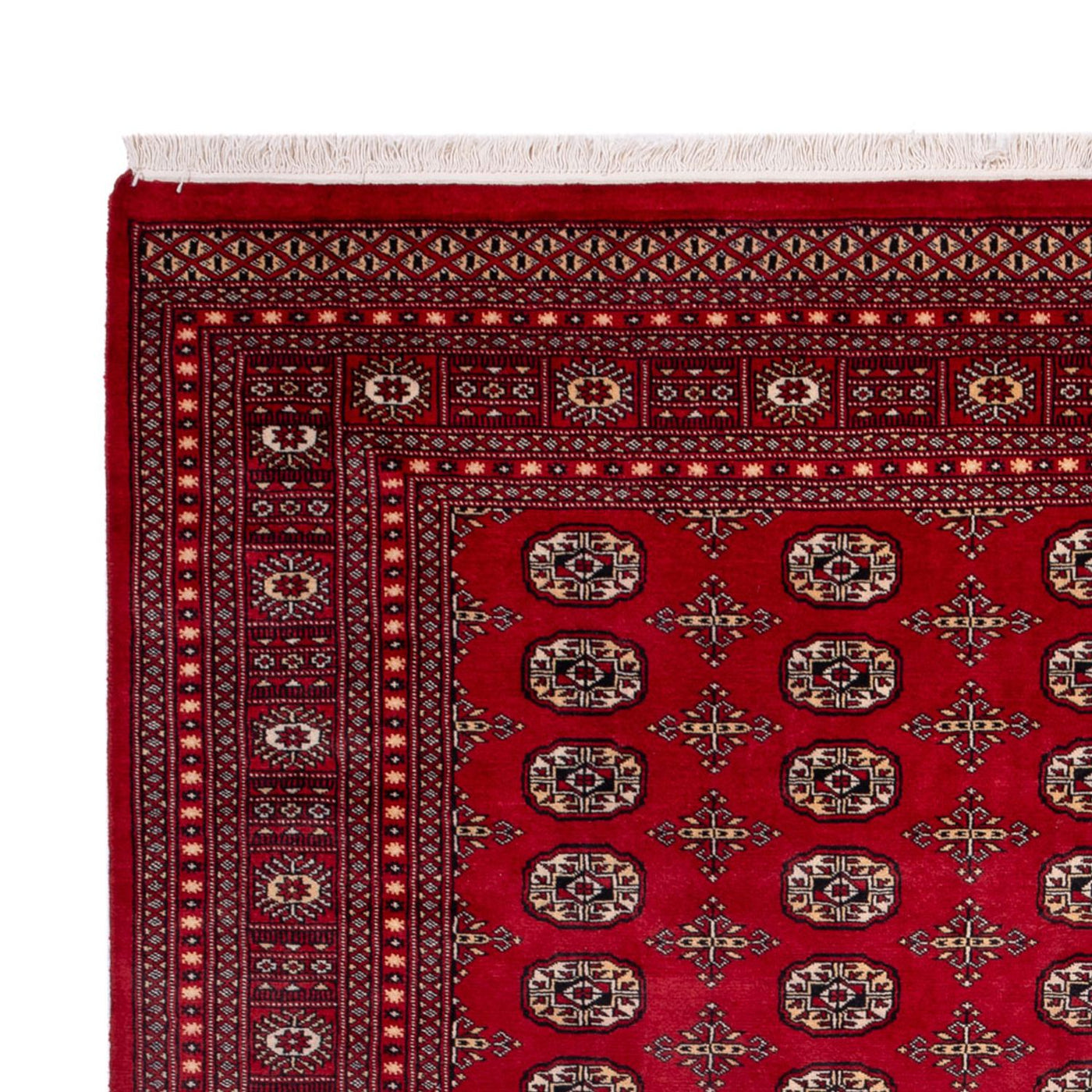 Buchara Dywan 308x243cm - Dywan orientalny