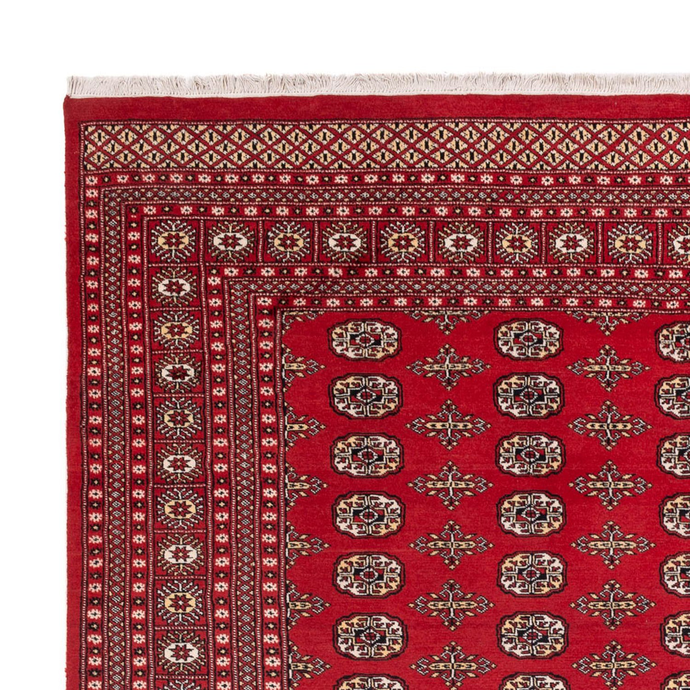 Buchara Dywan 312x244cm - Dywan orientalny