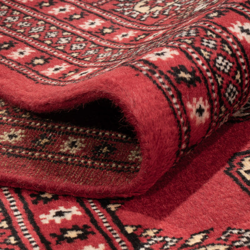 Afgański dywan - Bukhara - 312 x 244 cm - czerwony