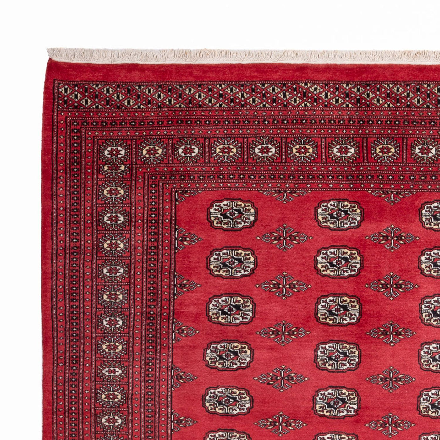 Bukhara Dywan 305x246cm - Dywan orientalny
