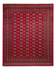 Bukhara Dywan 301x245cm - Dywan orientalny