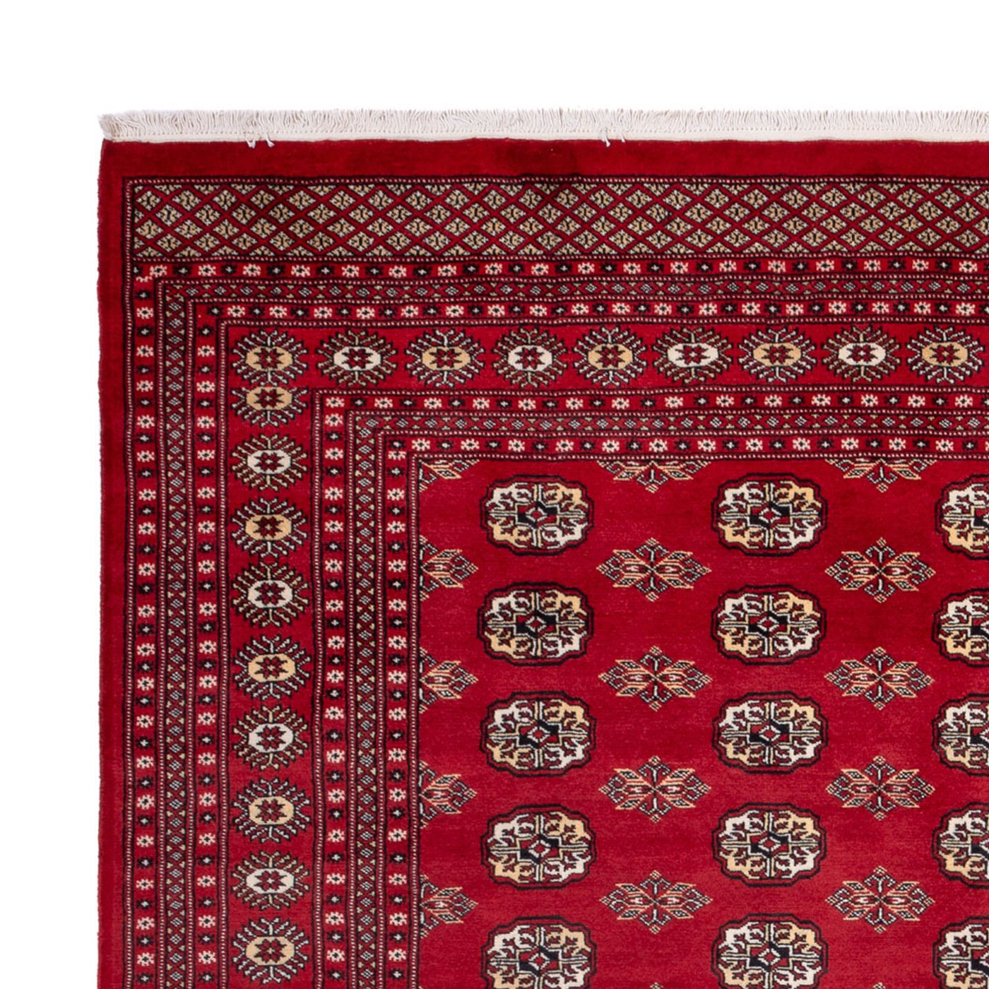 Bukhara Dywan 301x245cm - Dywan orientalny