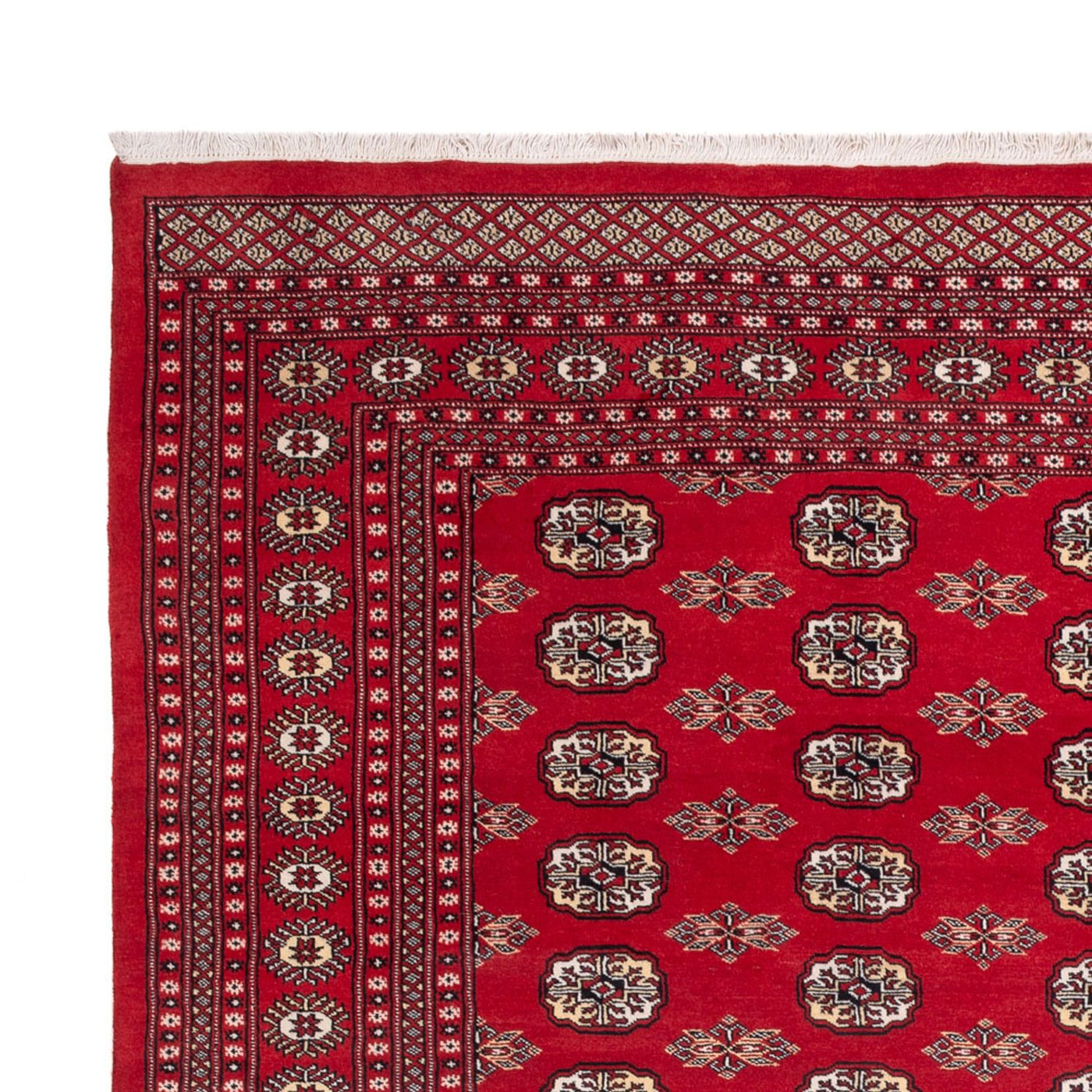 Bukhara Dywan 314x243cm - Dywan orientalny