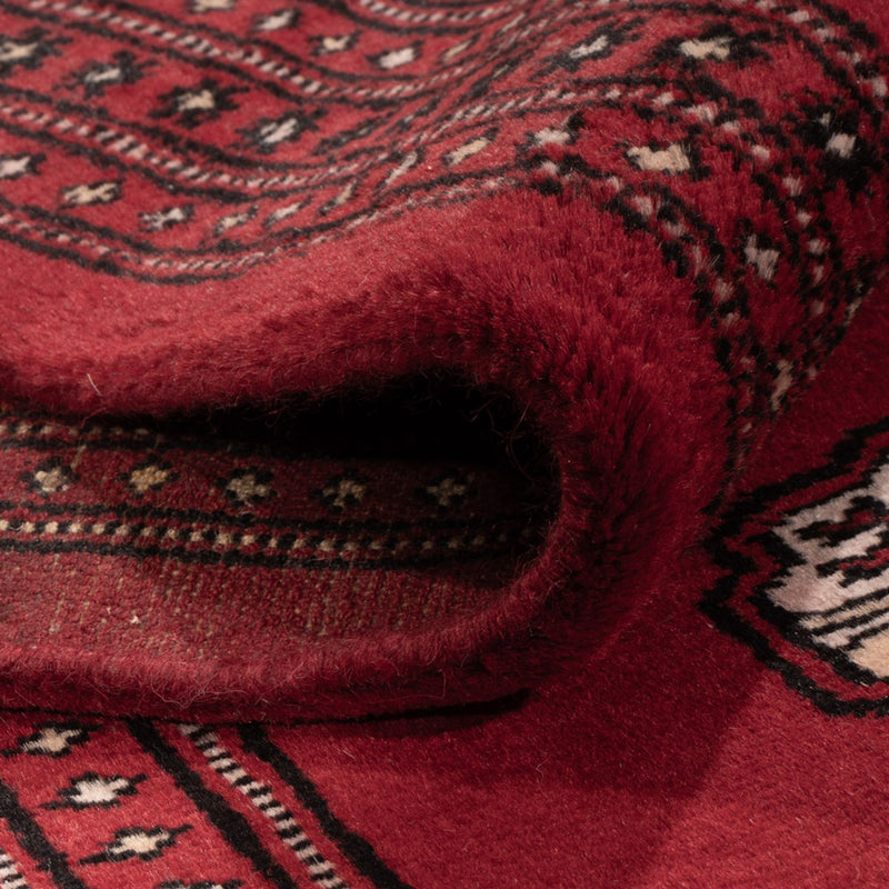 Afgański dywan - Bukhara - 290 x 200 cm - czerwony