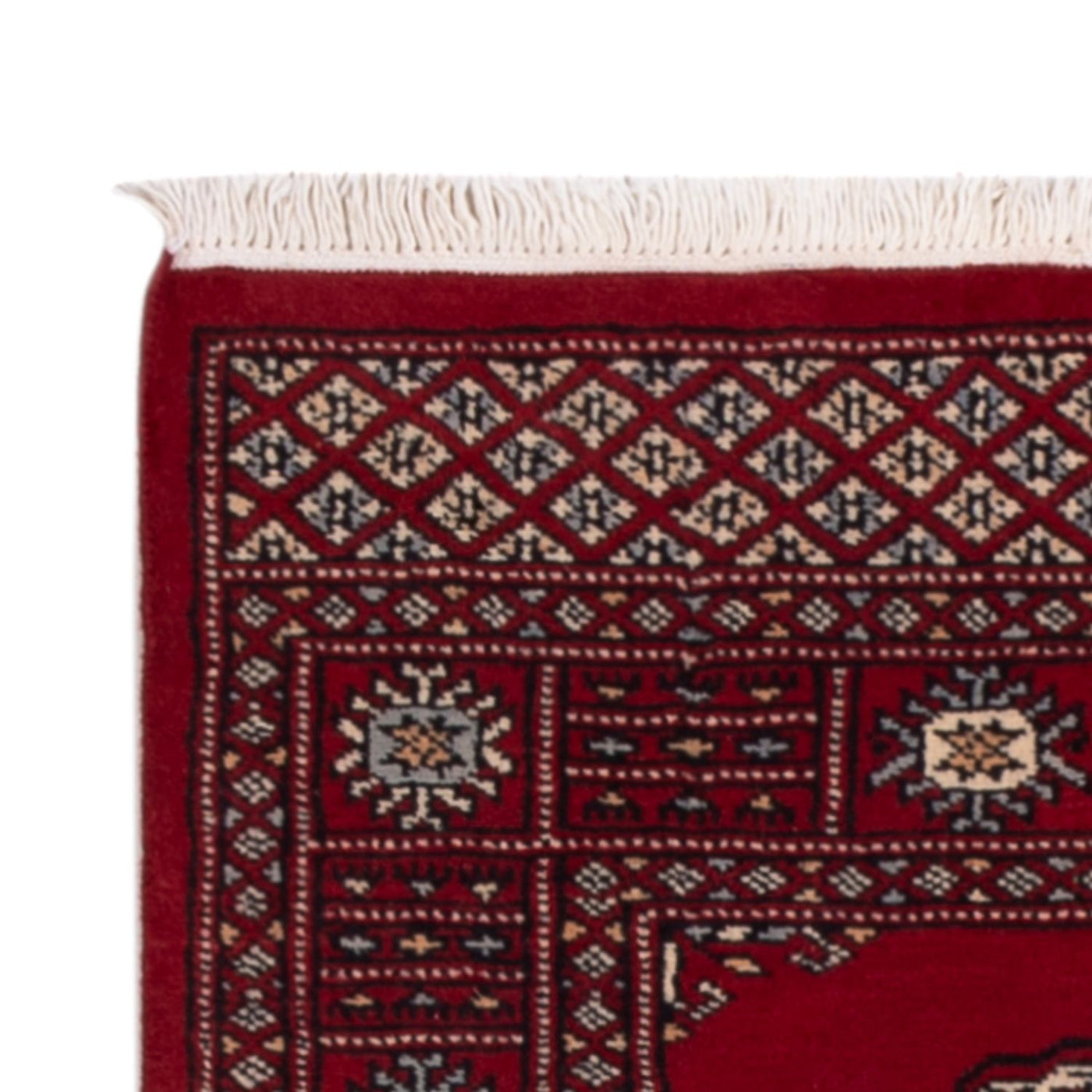 Dywan pakistański 241x77cm - Dywan orientalny