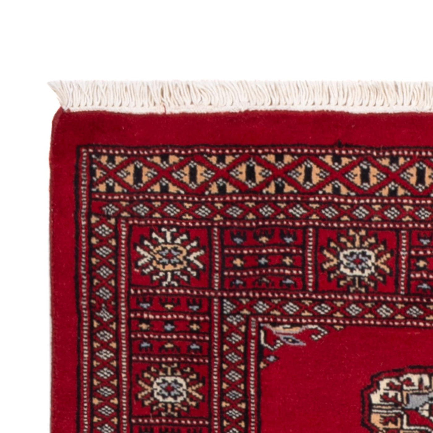 Dywan pakistański 239x79cm - Dywan orientalny