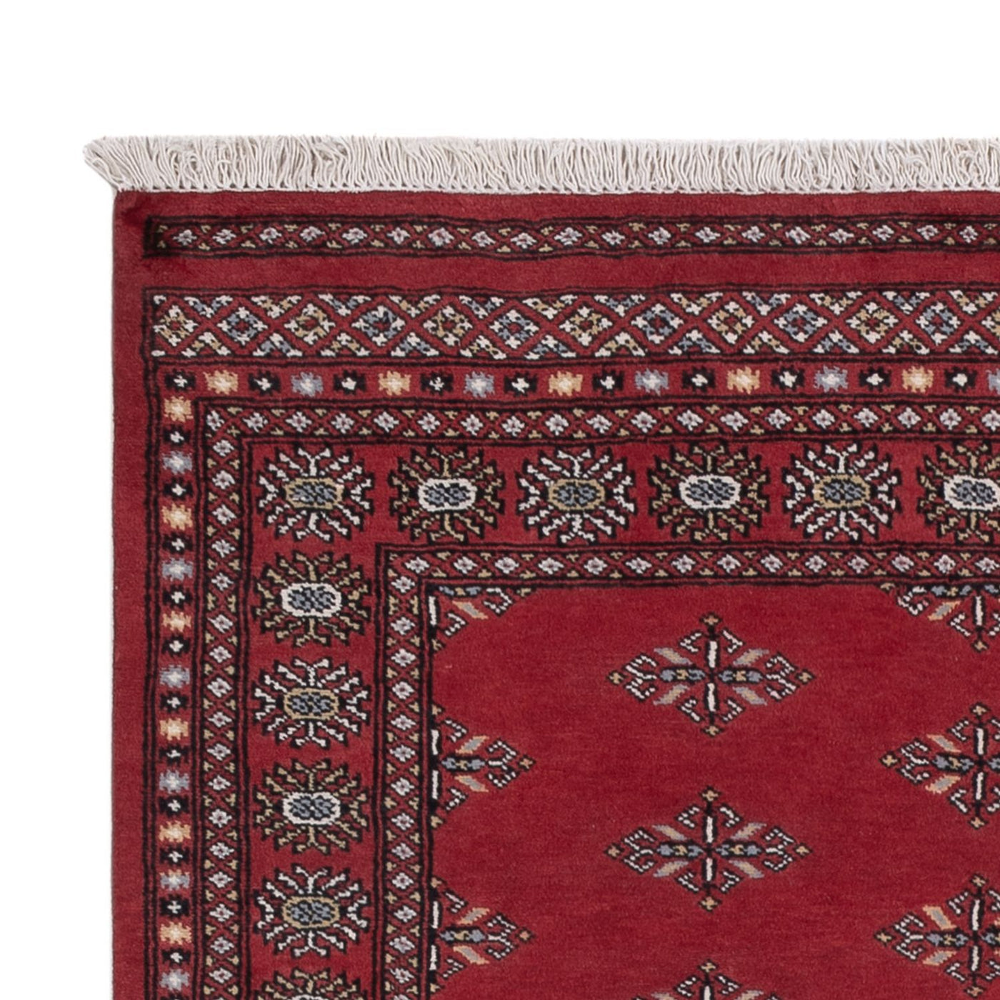 Dywan pakistański 203x137cm - Dywan orientalny
