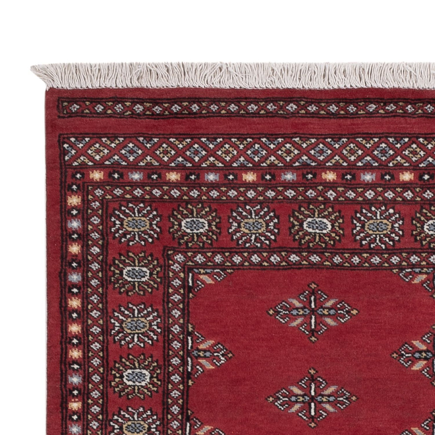 Dywan pakistański 215x137cm - Dywan orientalny