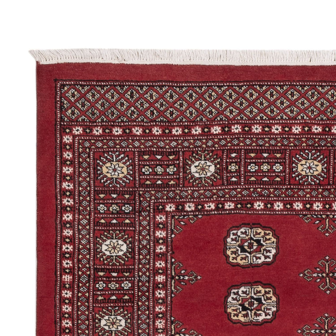 Dywan pakistański 216x139cm - Dywan orientalny