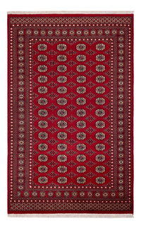 Dywan pakistański 256x167cm - Dywan orientalny – product image