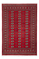 Dywan pakistański 243x168cm - Dywan orientalny