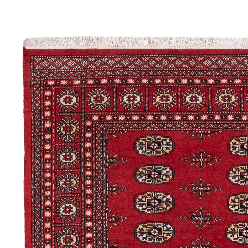 Dywan pakistański 243x168cm - Dywan orientalny