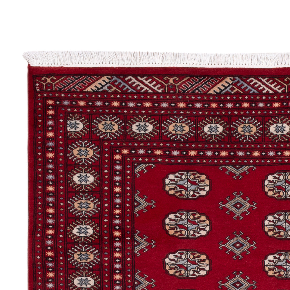 Dywan pakistański 241x154cm - Dywan orientalny
