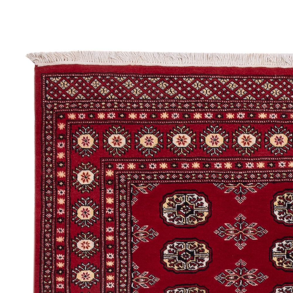 Dywan pakistański 244x154cm - Dywan orientalny