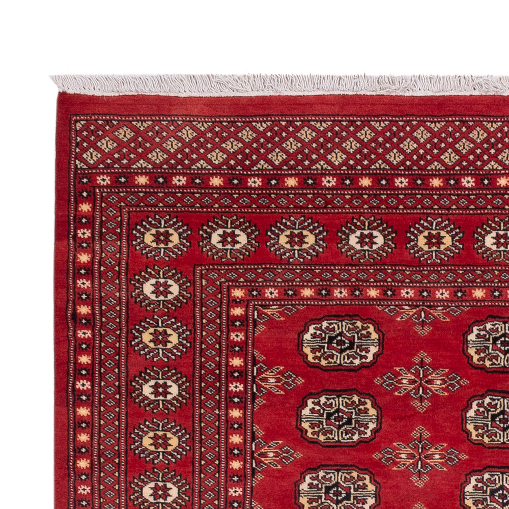 Dywan pakistański 237x158cm - Dywan orientalny