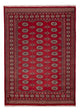 Dywan pakistański 240x171cm - Dywan orientalny
