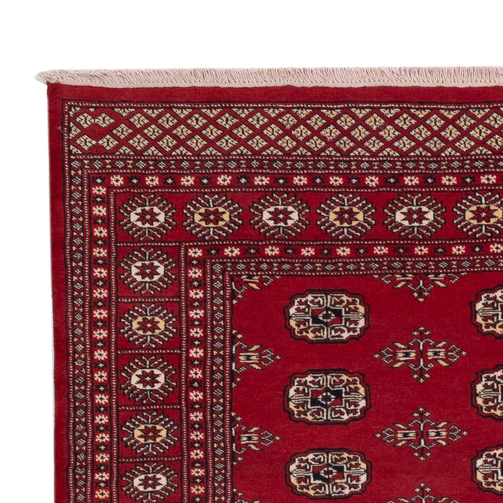 Dywan pakistański 240x171cm - Dywan orientalny