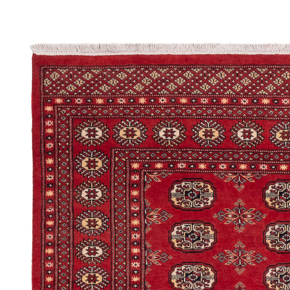 Dywan pakistański 250x159cm - Dywan orientalny